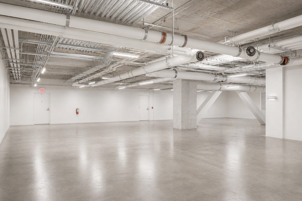 Cellar Floor